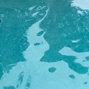 Meet your Posher, Carly